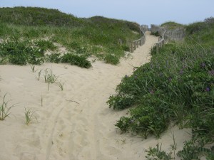 Path from Beach
